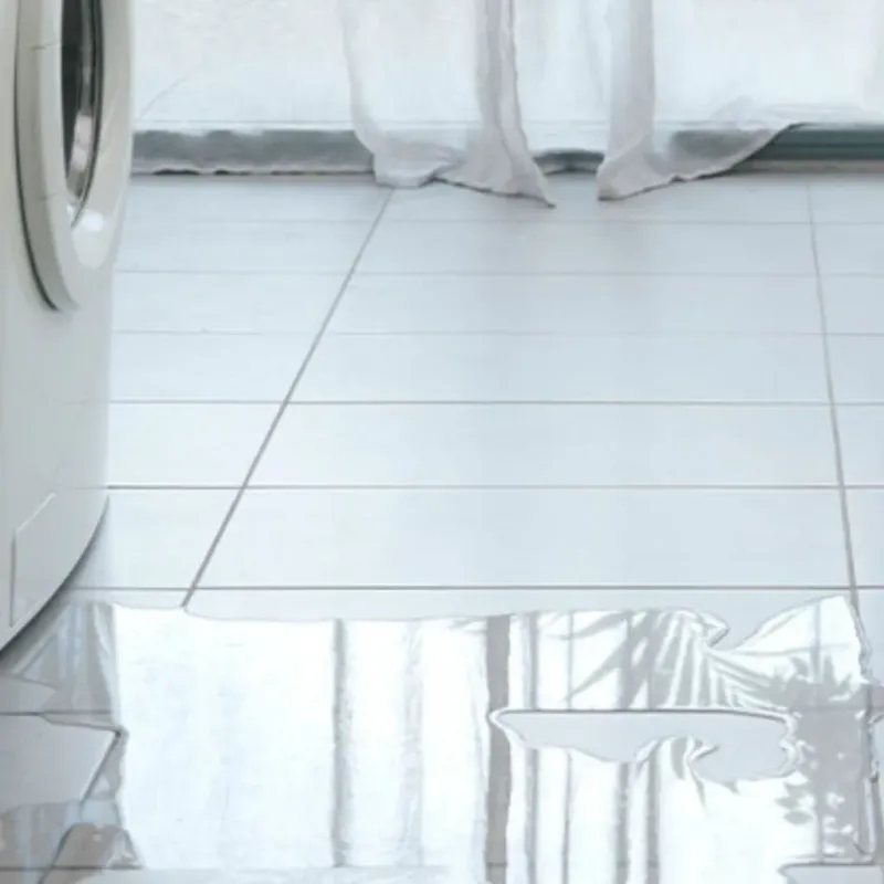 Appliance Leak Cleanup in Pendleton, SC