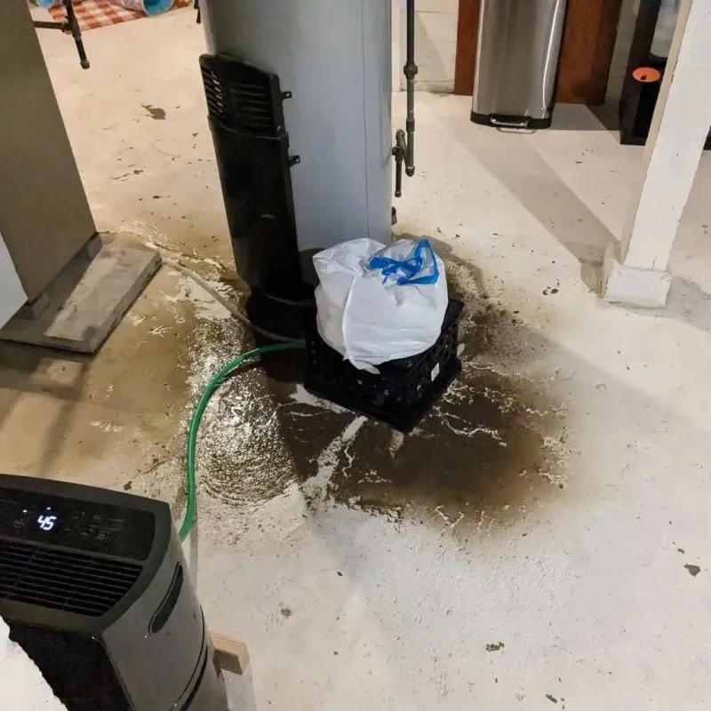 Sewage Backup Cleanup Service in Pendleton, SC